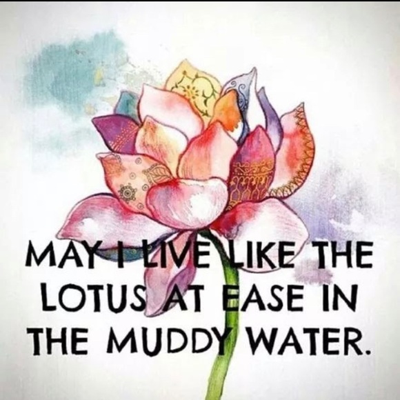 Meet your Posher, Mj - Picture 2 of 3